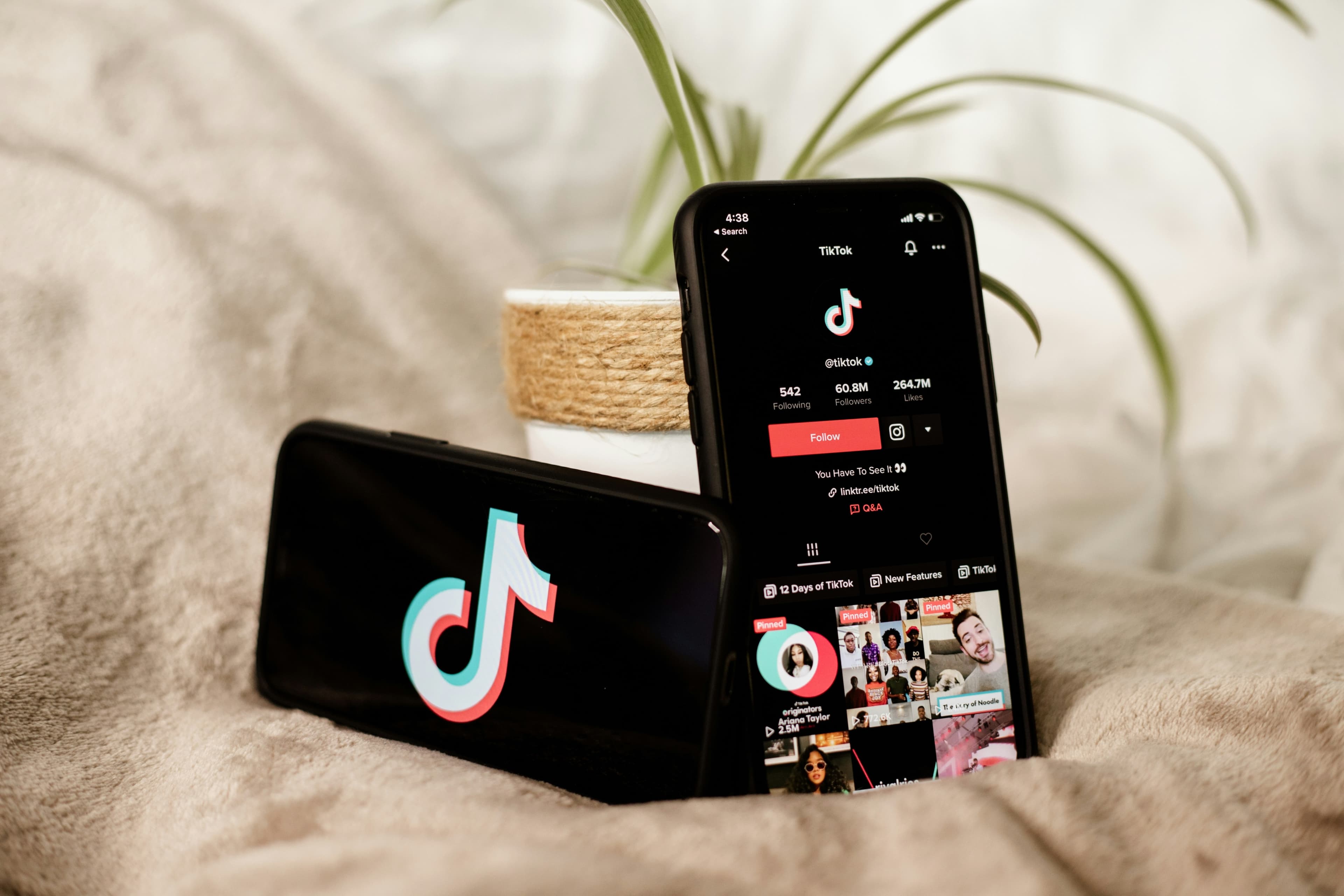 TikTok SEO Statistics 2026